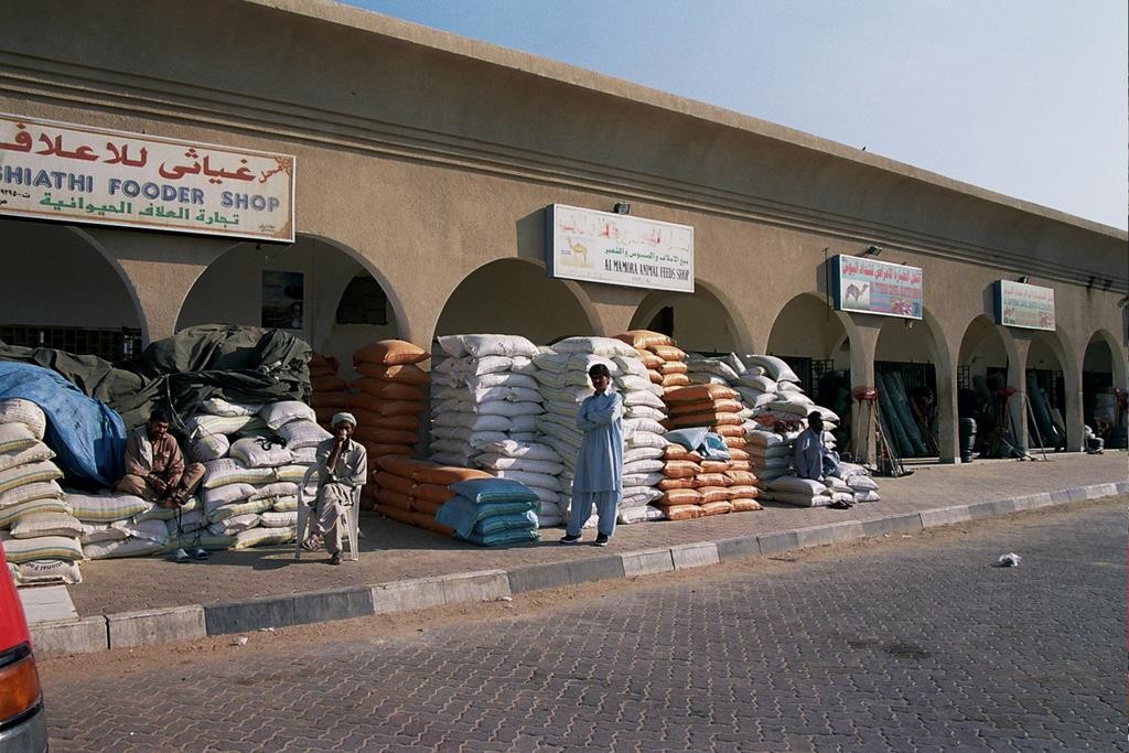 We visited a little shopping complex right outside the track where they sell accessories and food for the camels.